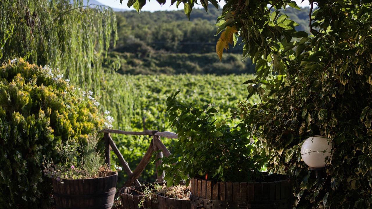 Photo of Outdoor in Montelaguardia