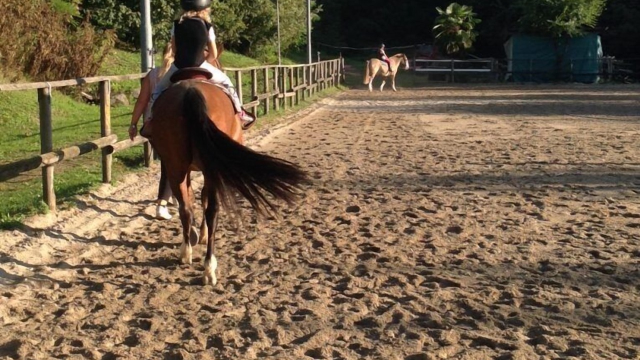 Photo of Others in Teolo