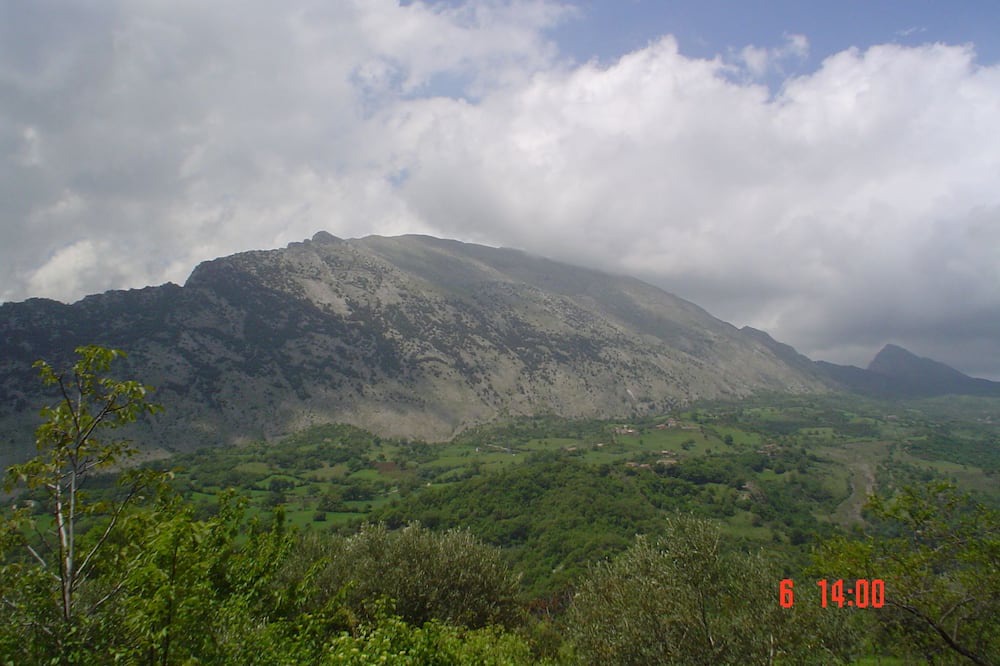 Photo of Others in San Lorenzo Bellizzi