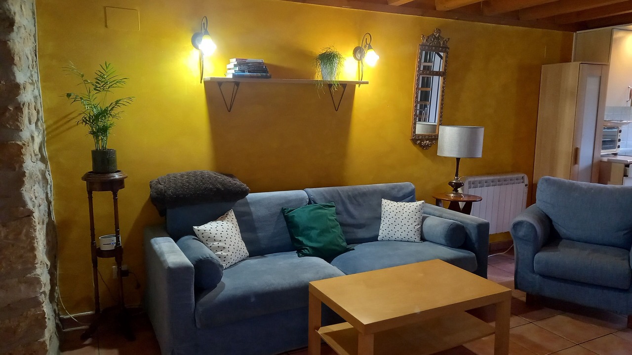 Photo of Livingroom in Alsasua