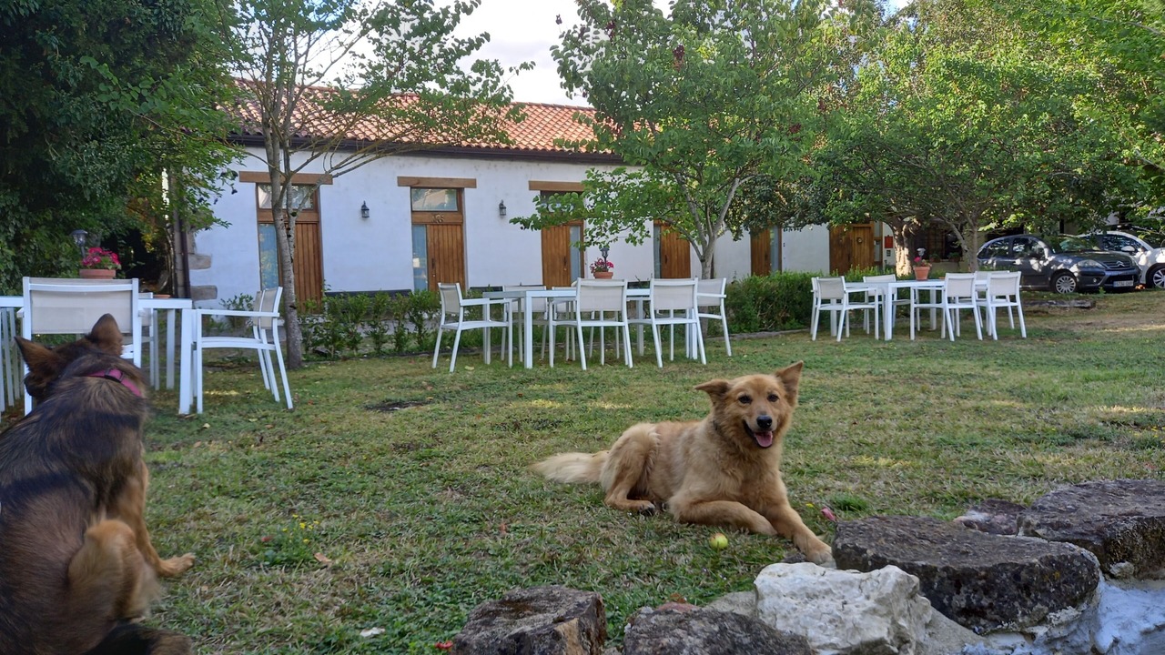 Photo of Outdoor in Alsasua