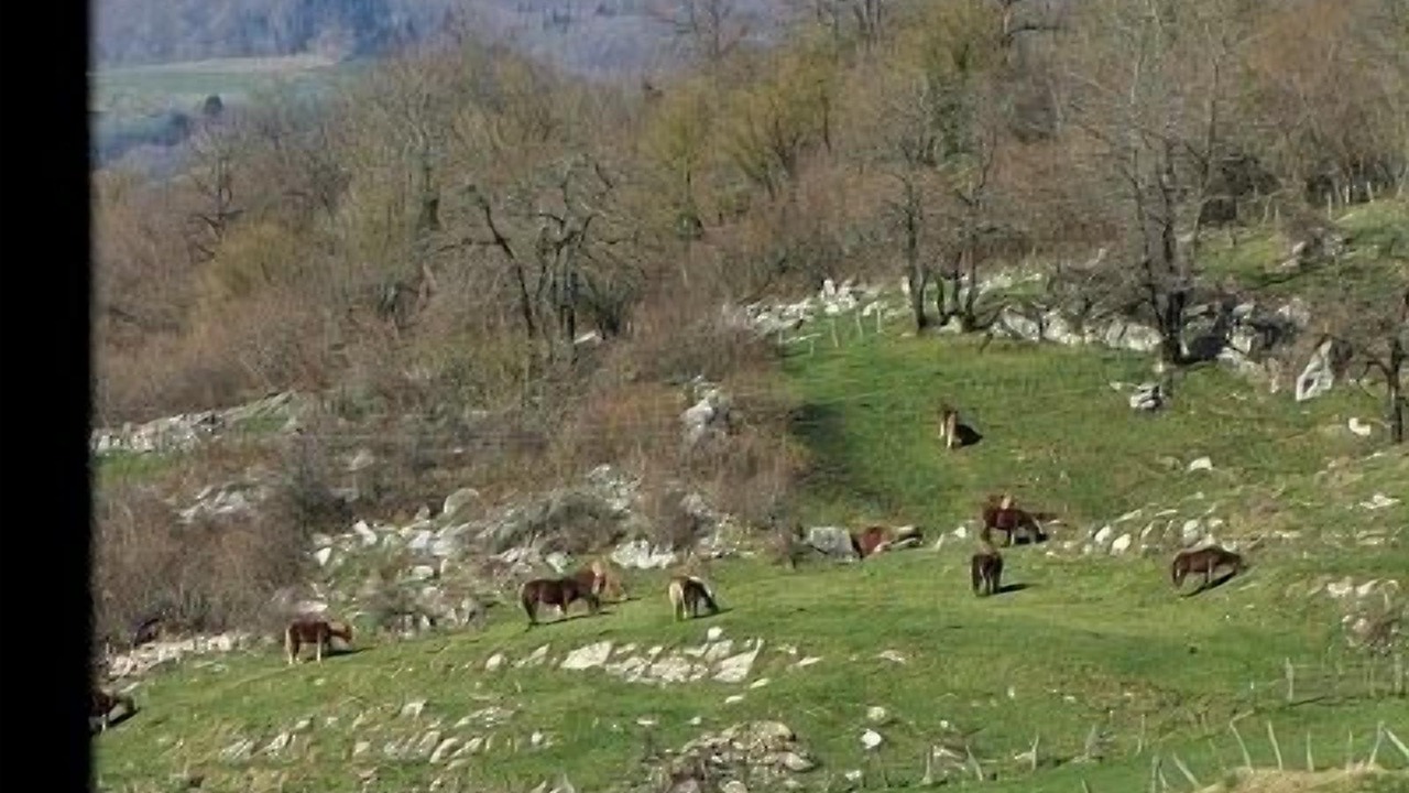 Photo of Outdoor in Larraun