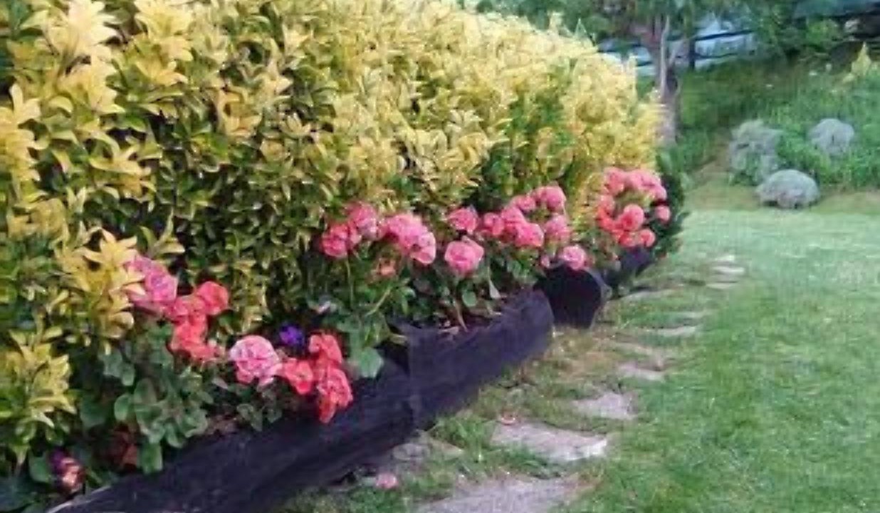 Photo of Outdoor in Larraun