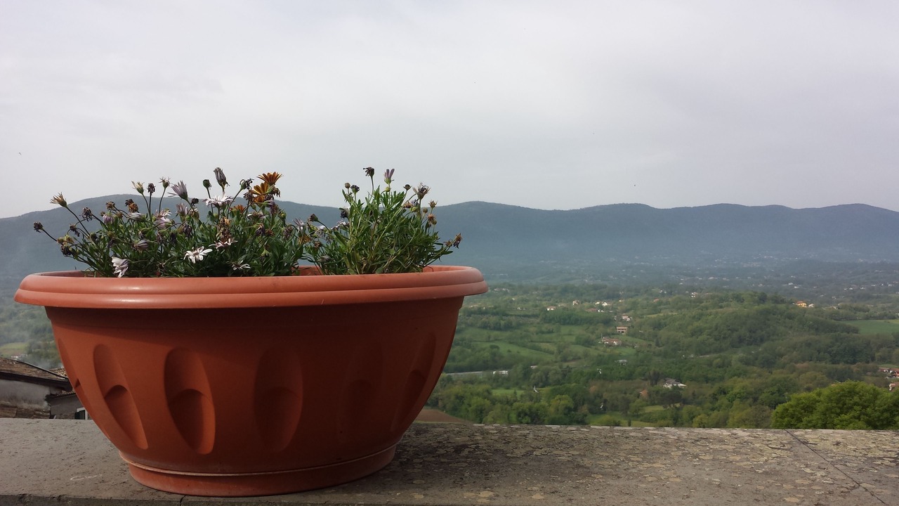 Photo of Others in Falvaterra