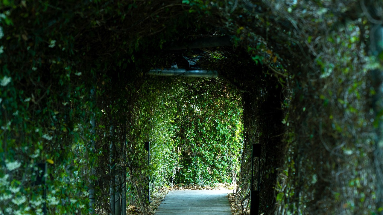 Photo of Outdoor in Ayas
