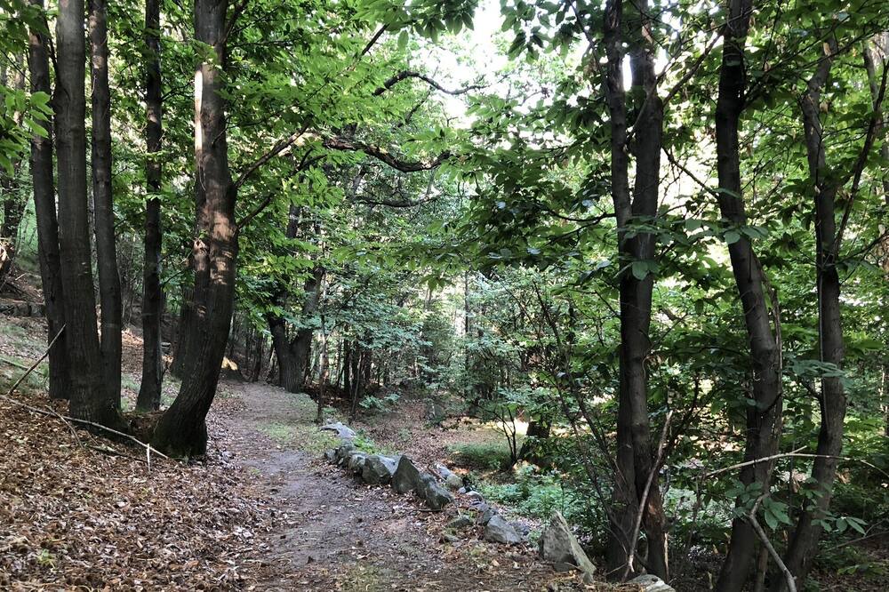 Photo of Outdoor in Bard
