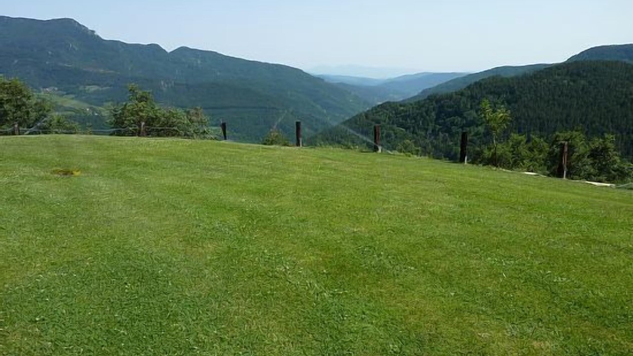 Photo of Others in Campelles