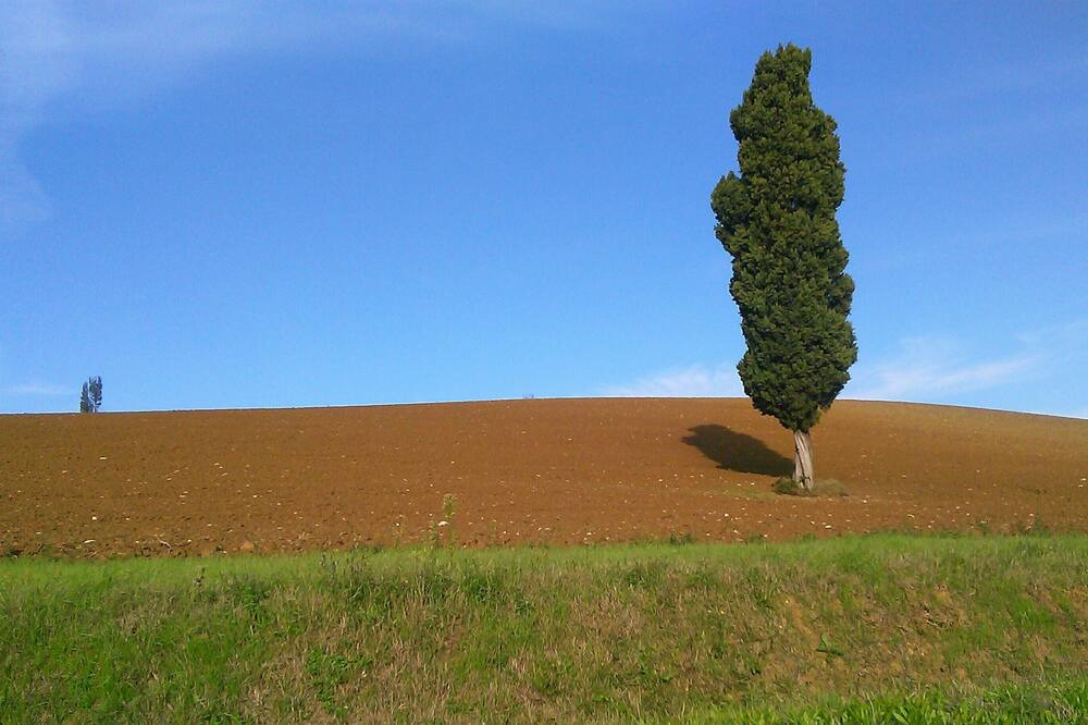 Photo of Others in Castel San Pietro Terme