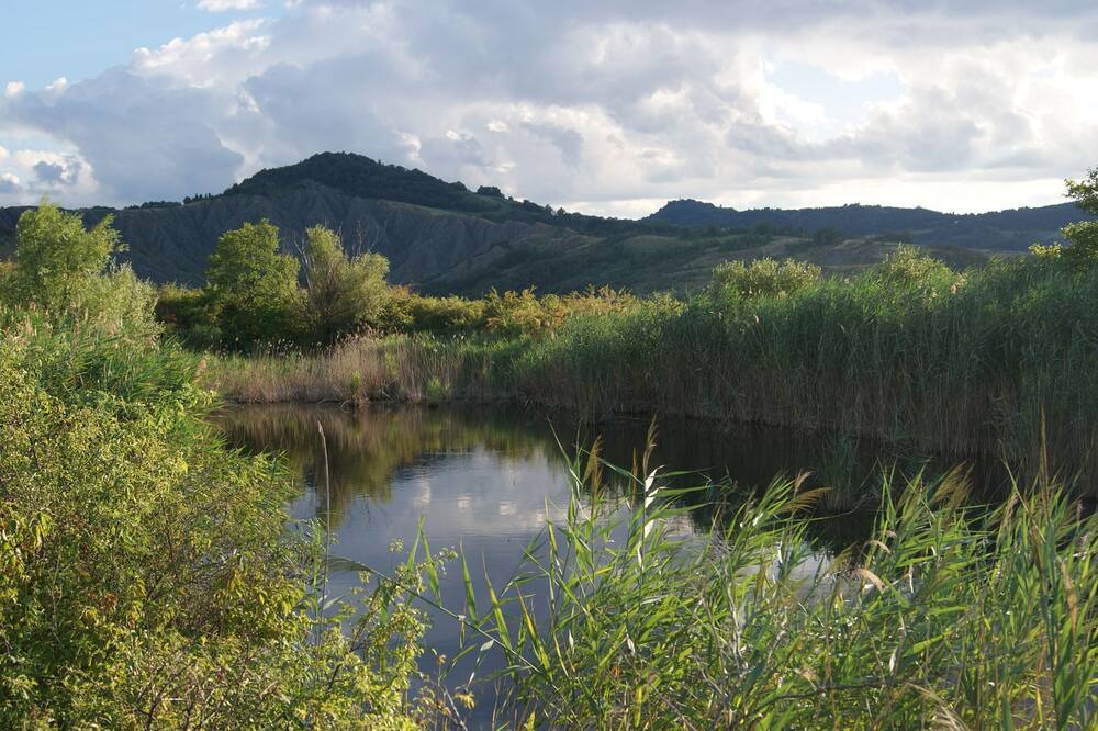 Photo of Outdoor in Castel San Pietro Terme