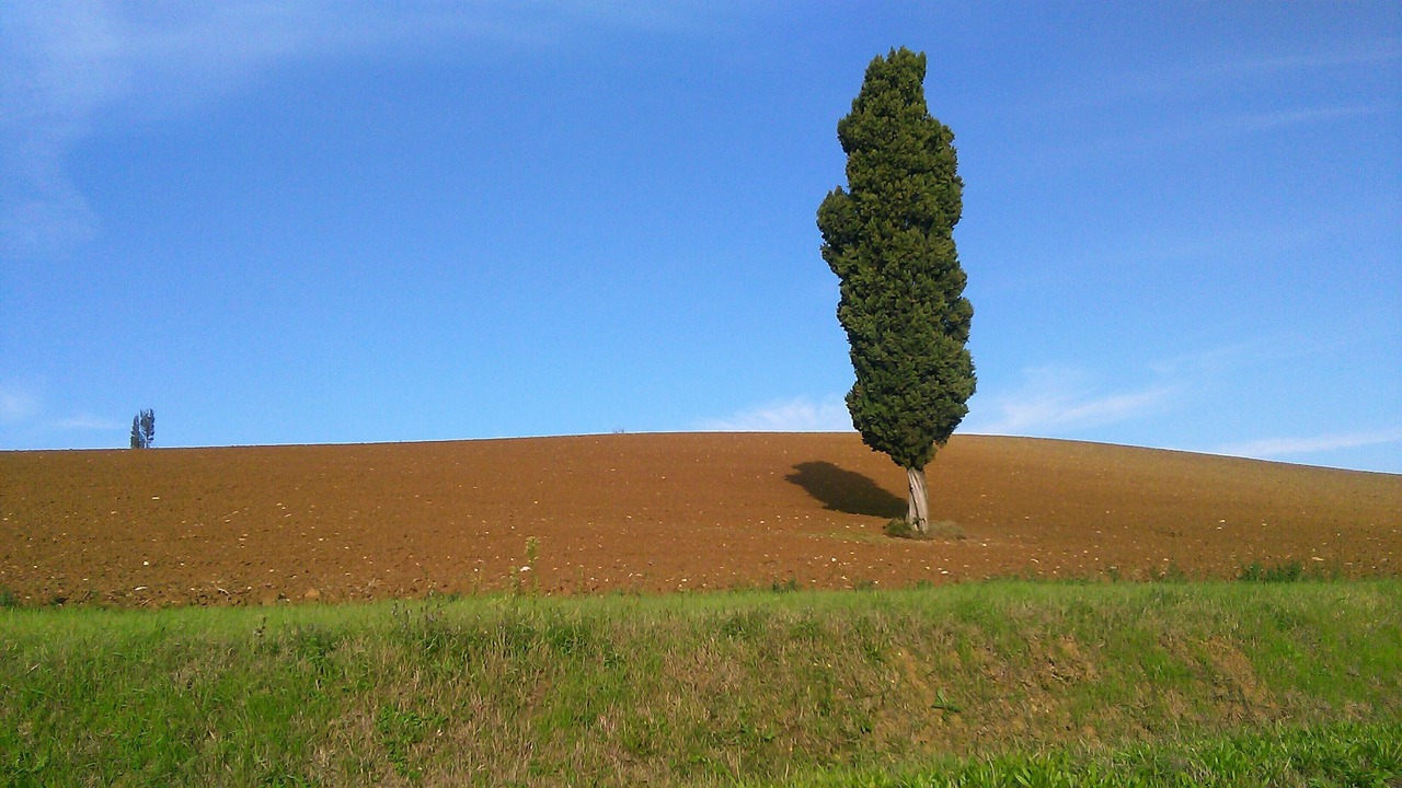 Photo of Others in Castel San Pietro Terme