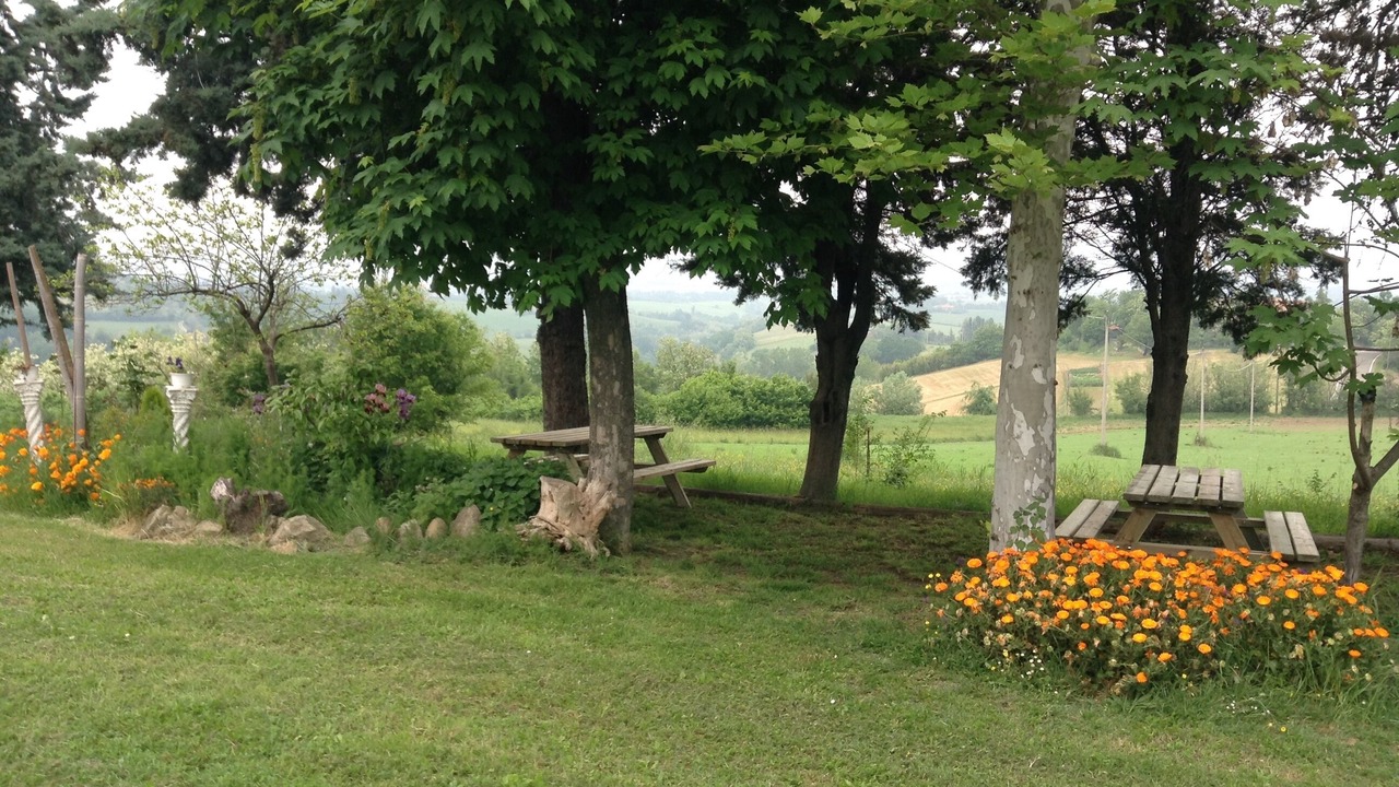 Photo of Outdoor in Castel San Pietro Terme