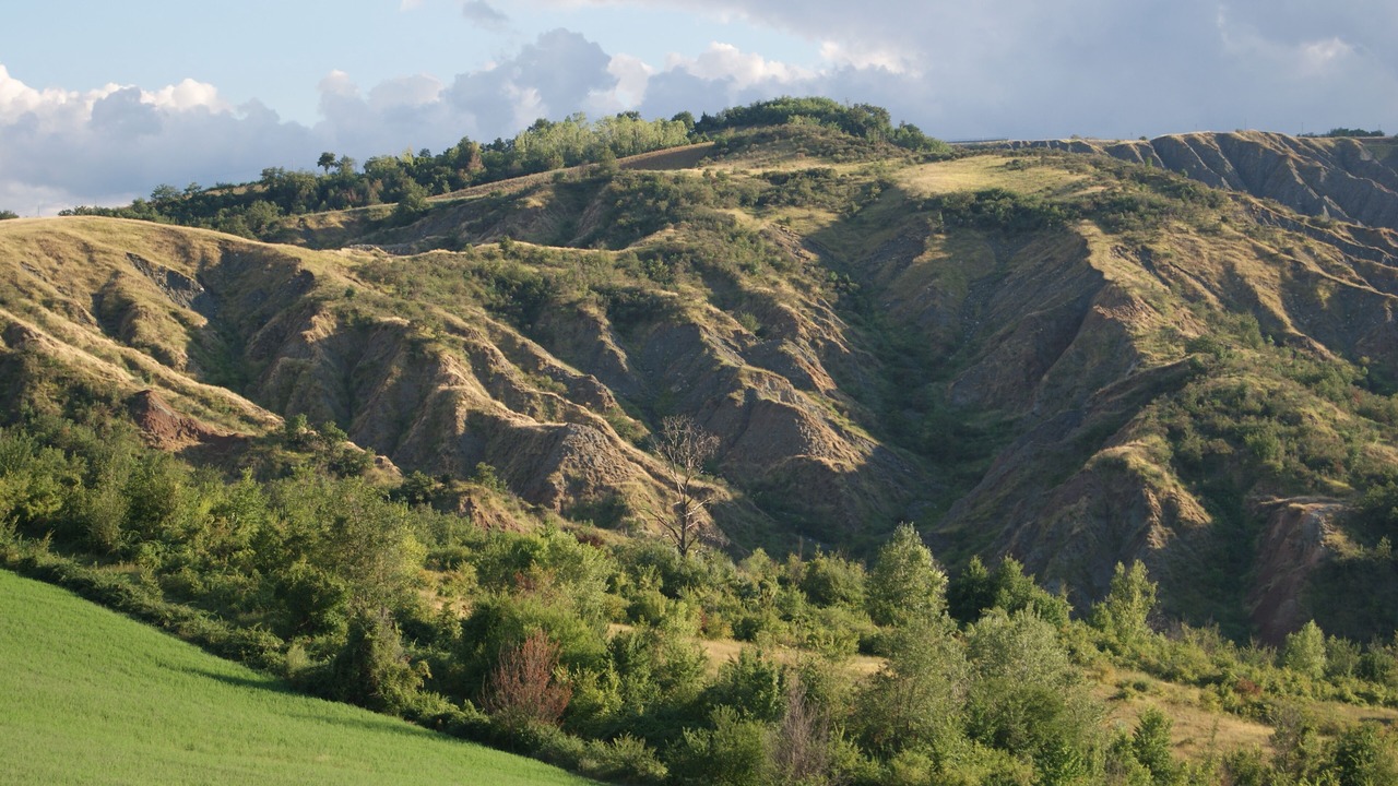 Photo of Outdoor in Castel San Pietro Terme