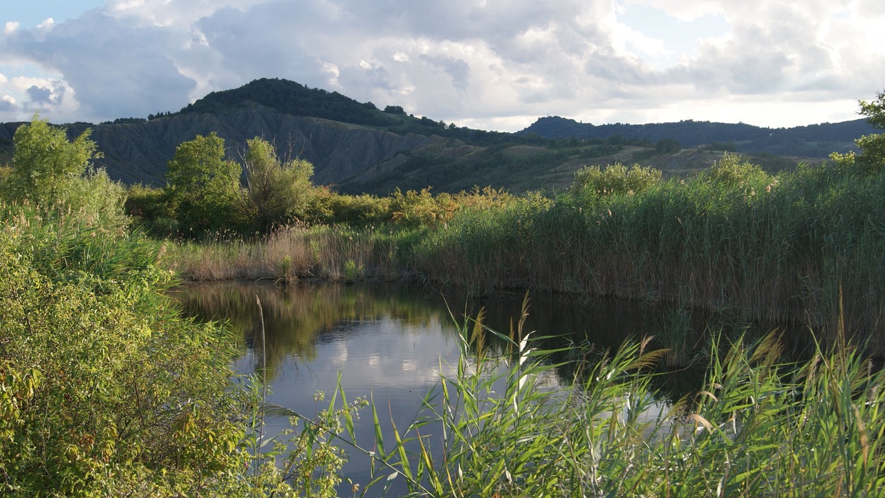 Photo of Outdoor in Castel San Pietro Terme