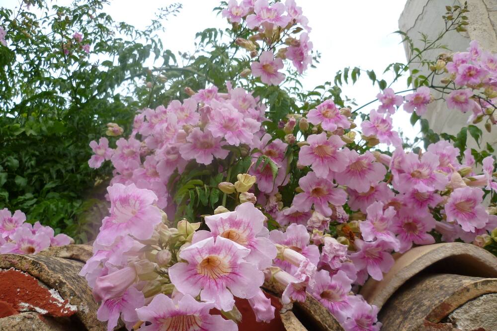 Photo of Others in Ubeda