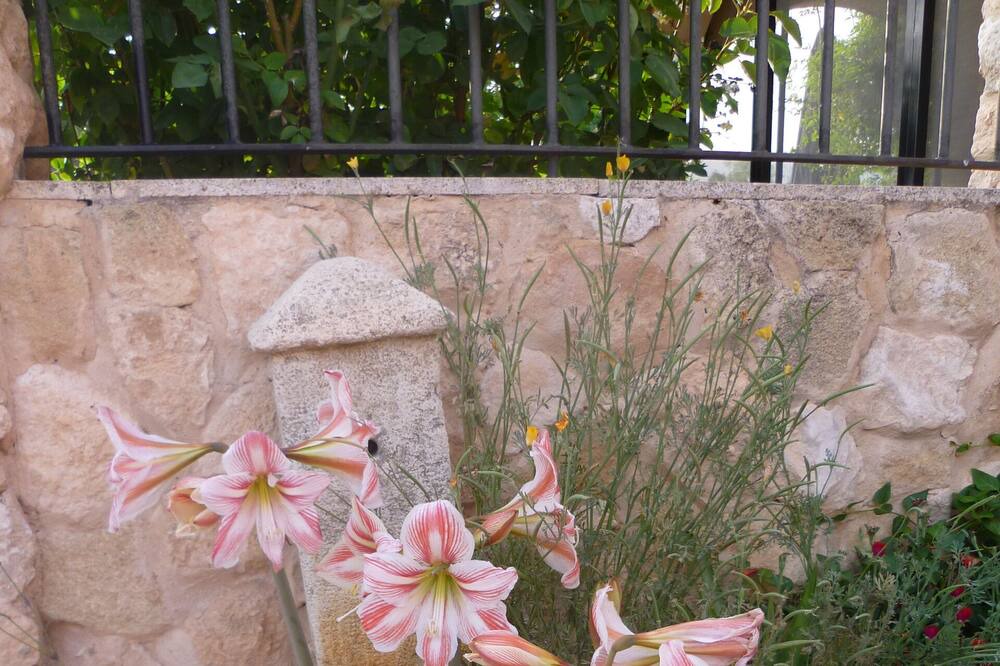 Photo of Others in Ubeda