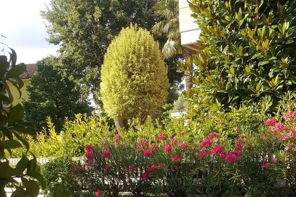 Photo of Patio Balcony in Montegranaro