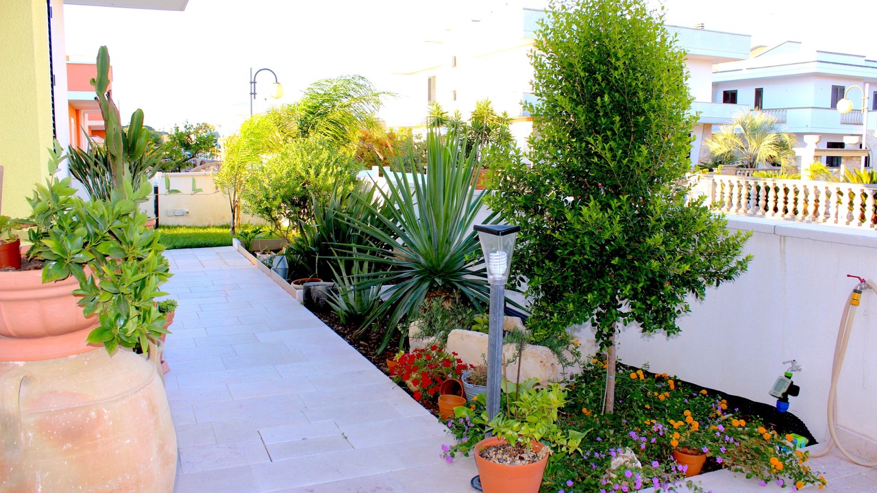 Photo of Outdoor in Castro Marina
