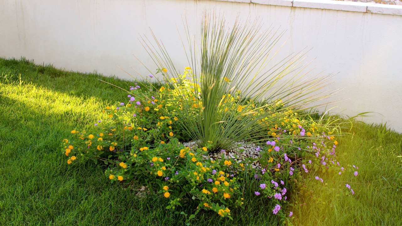 Photo of Outdoor in Castro Marina