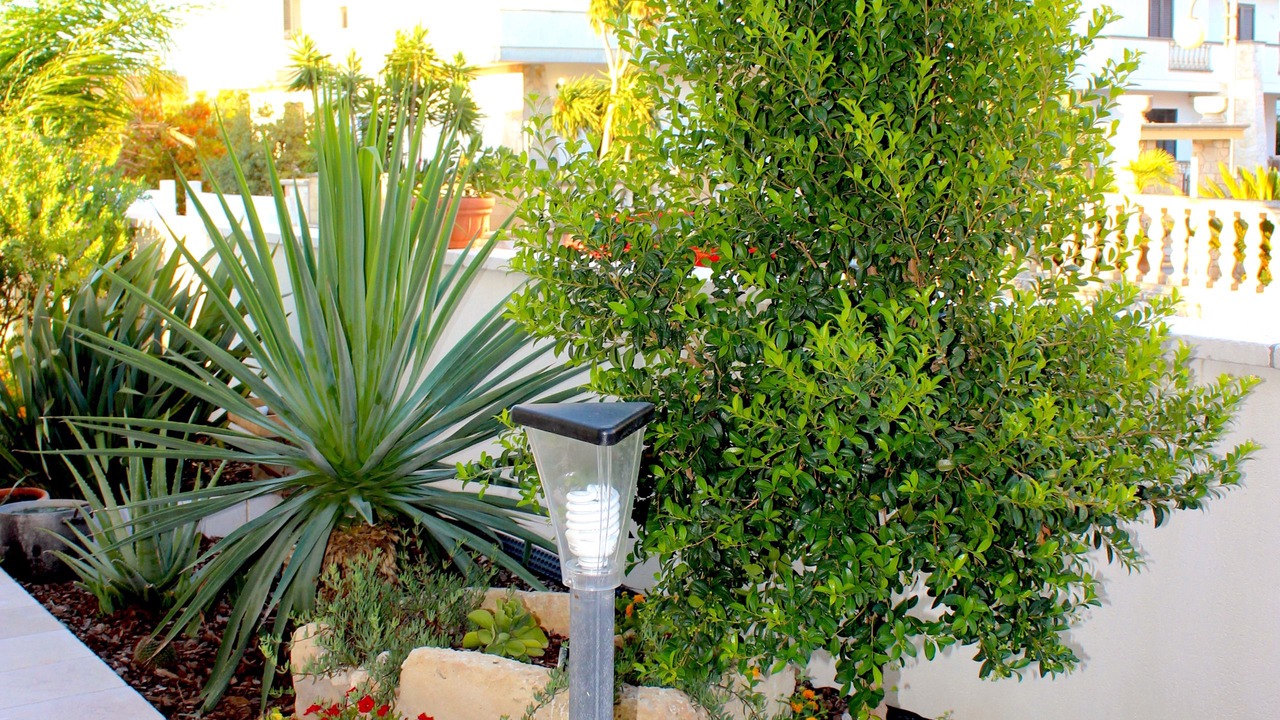 Photo of Outdoor in Castro Marina