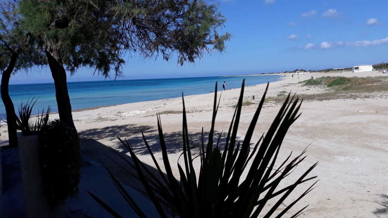 Photo of Others in Lido Marini