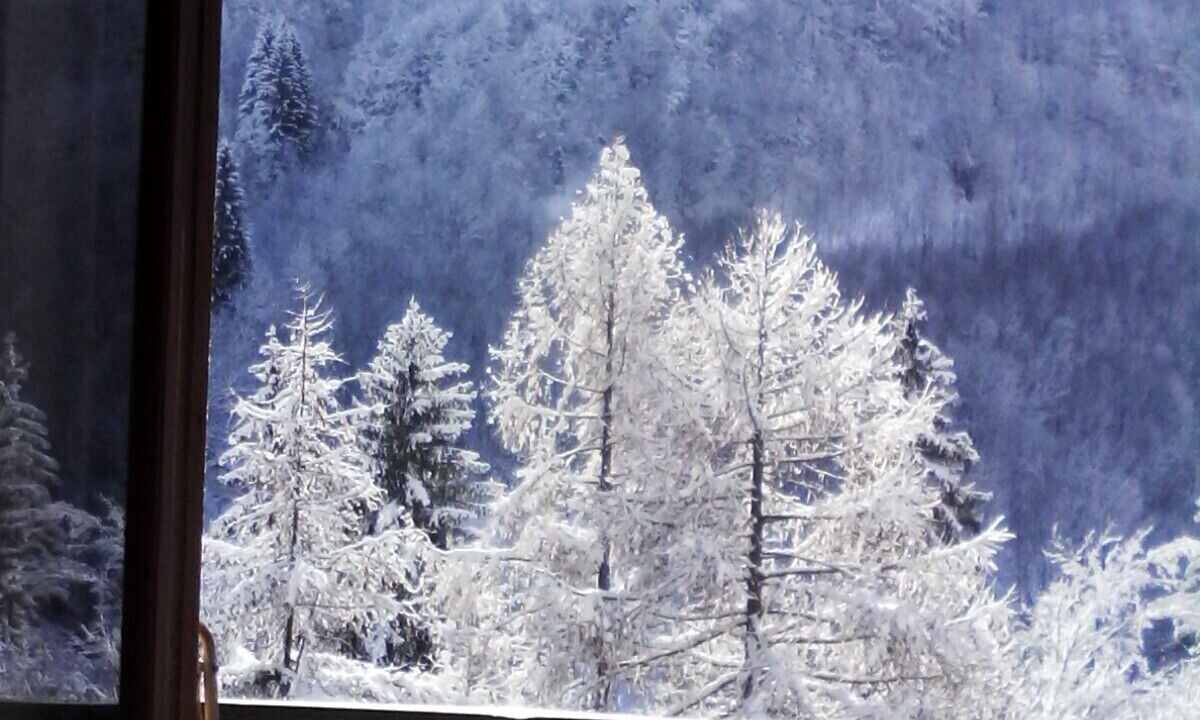 Photo of Others in Limone Piemonte