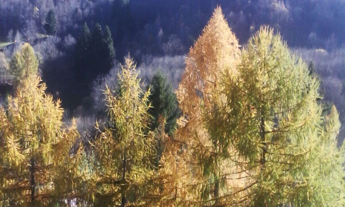 Photo of Patio Balcony in Limone Piemonte