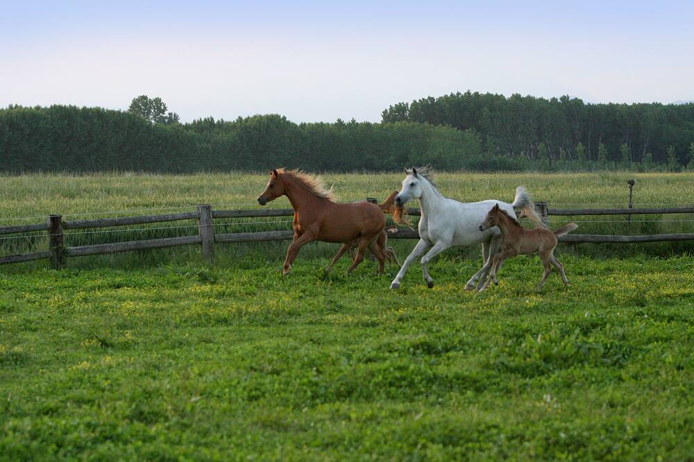 Photo of Outdoor in Cercenasco
