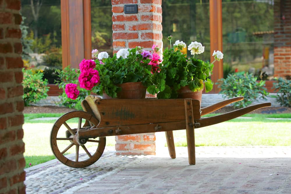 Photo of Outdoor in Cercenasco