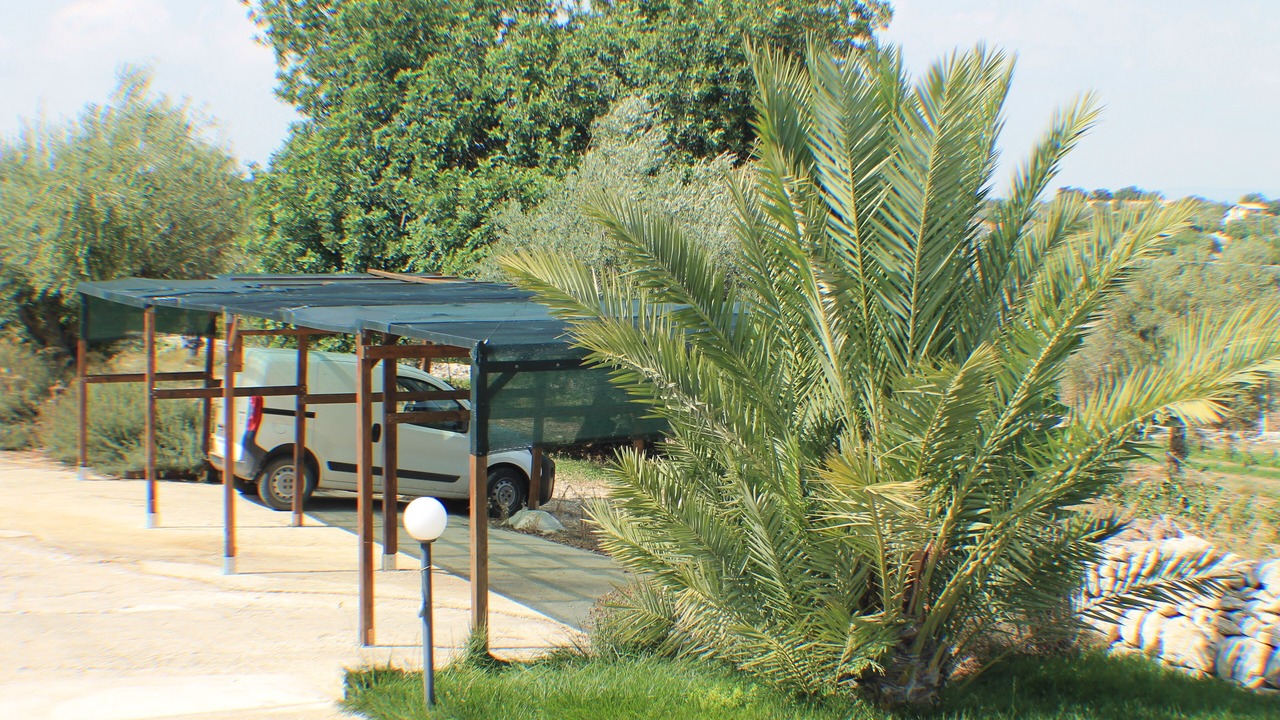Photo of Outdoor in Casa Papa