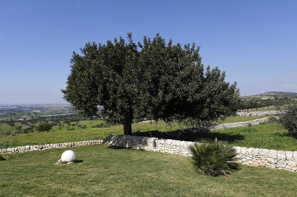 Photo of Outdoor in Ragusa