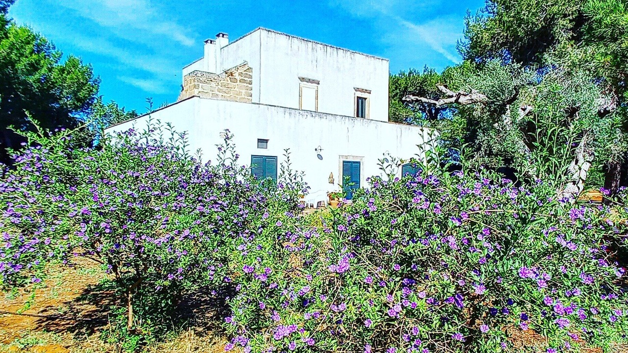 Photo of Outdoor in Galatina
