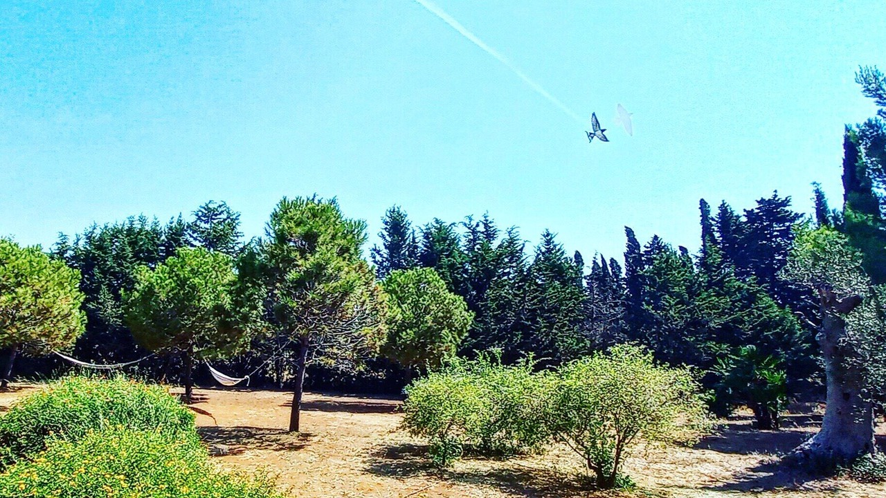 Photo of Outdoor in Galatina
