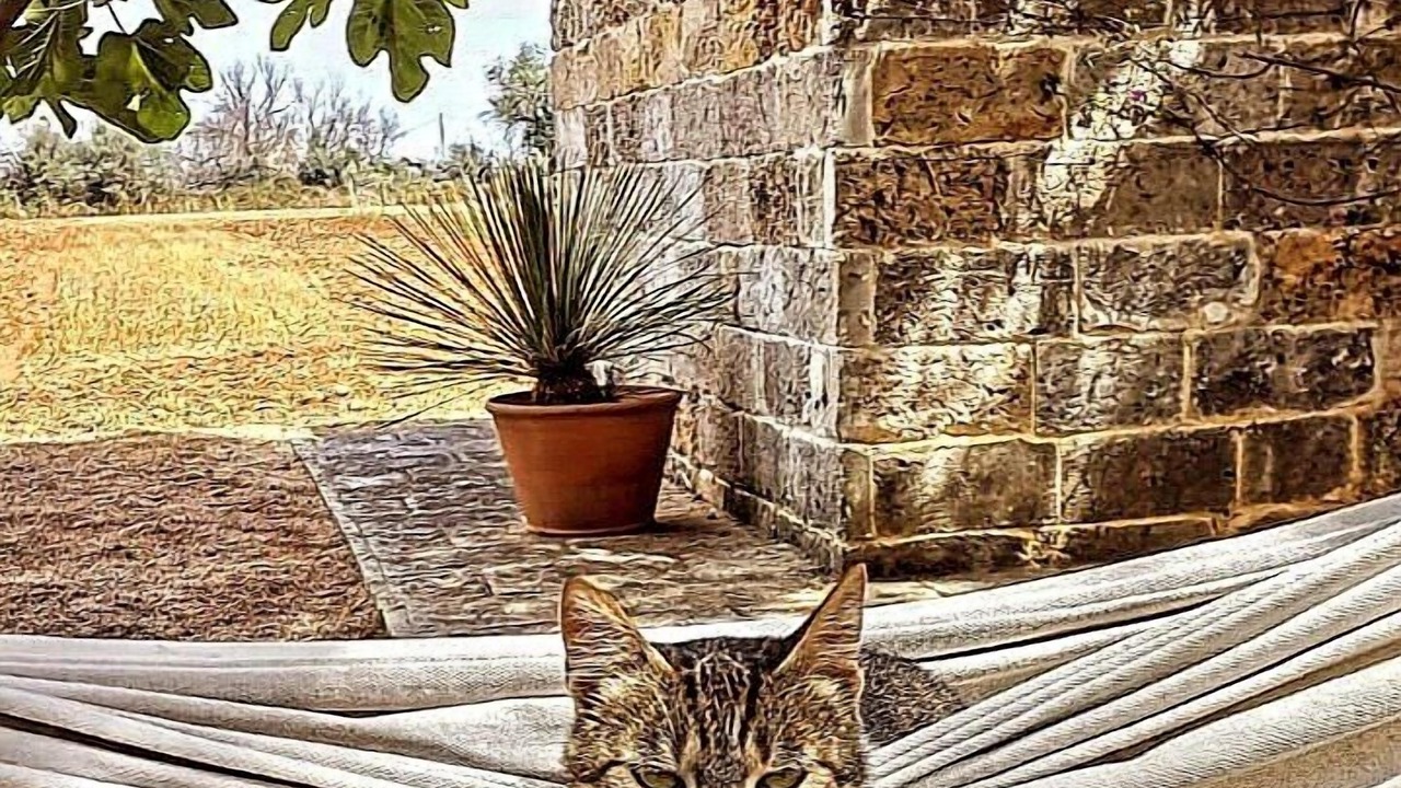 Photo of Outdoor in Galatina