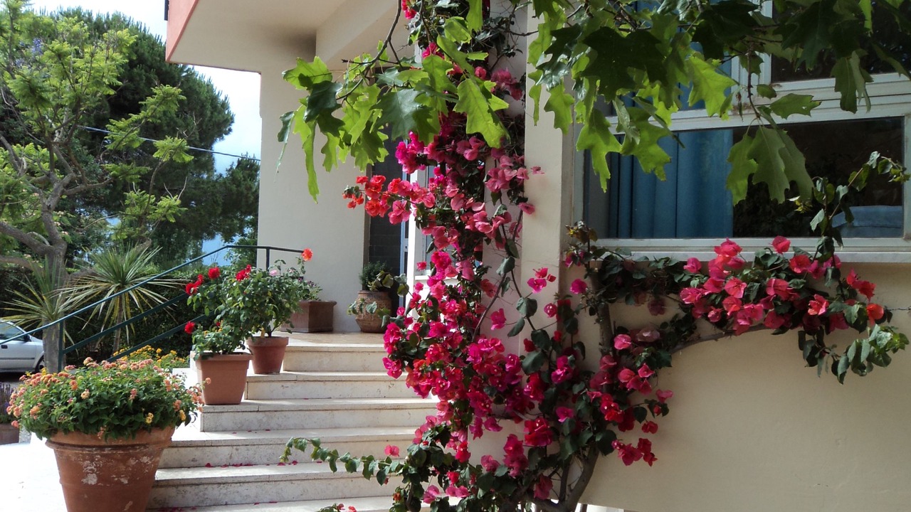 Photo of Outdoor in San Felice Circeo