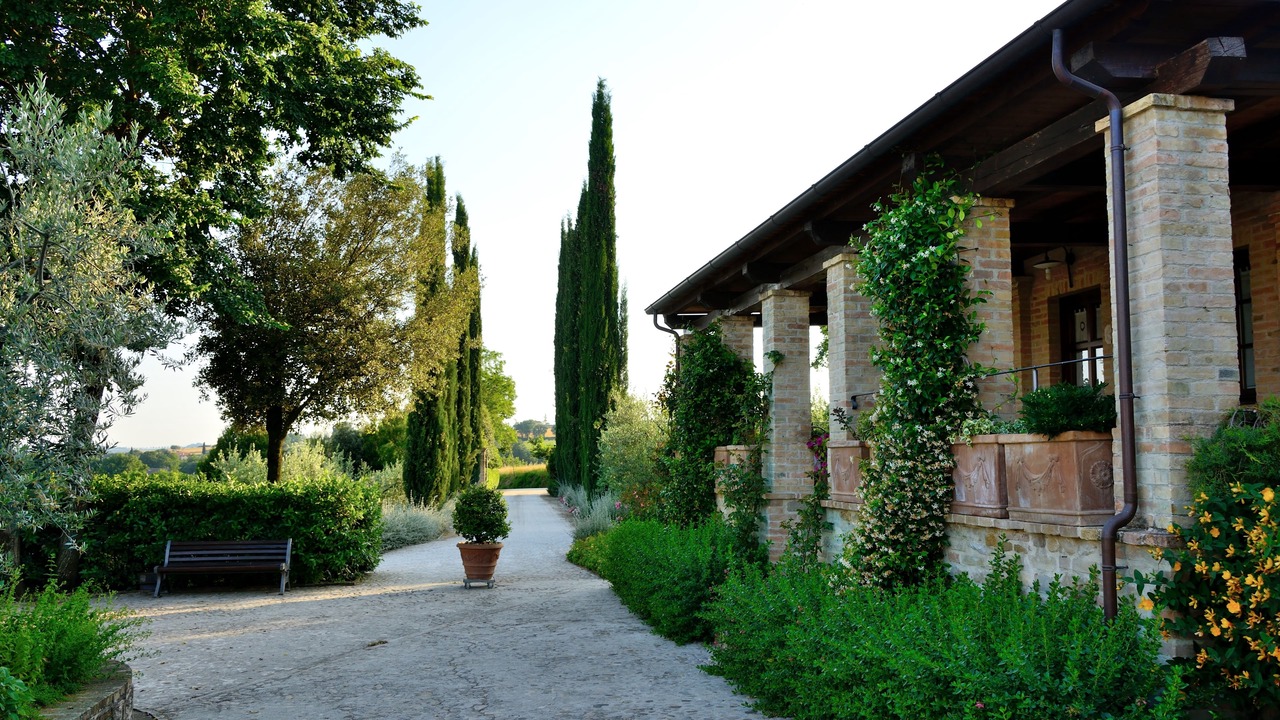 Photo of Outdoor in Ripa