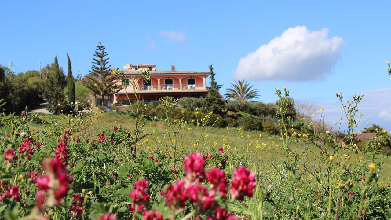 Photo of Outdoor in Santa Marinella