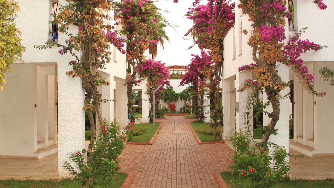 Photo of Outdoor in Konakli