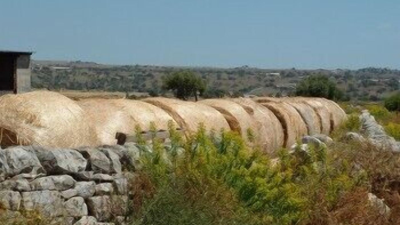Photo of Outdoor in Ragusa