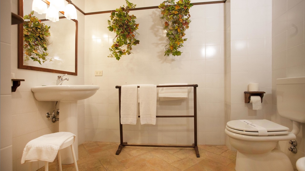 Photo of Bathroom in Viano