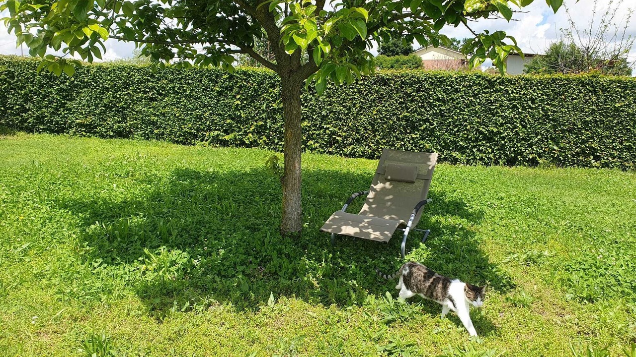 Photo of Outdoor in Monta