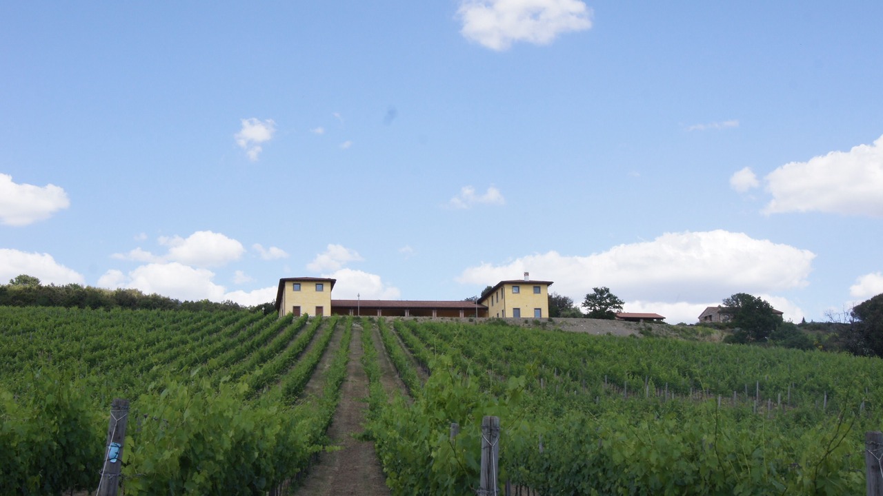 Photo of Outdoor in Civitella Paganico