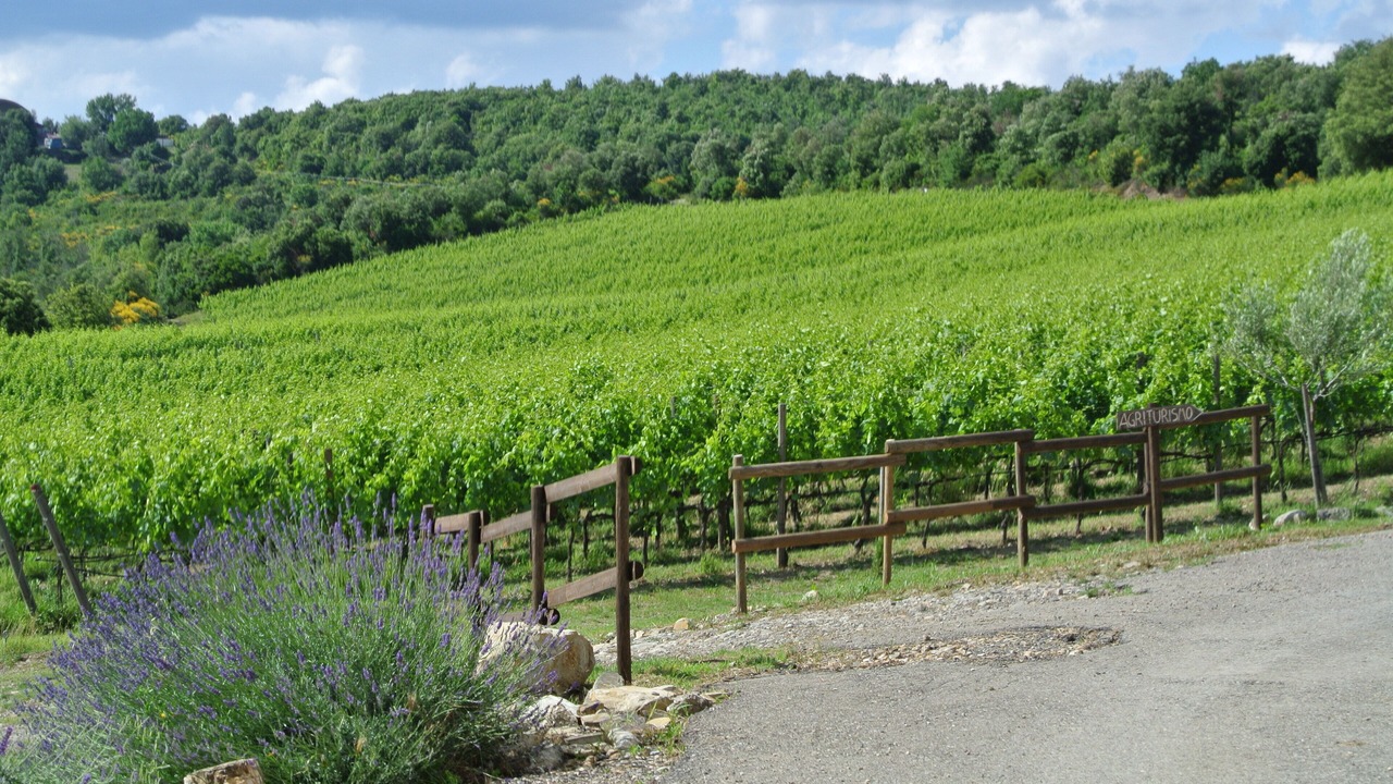 Photo of Others in Civitella Paganico