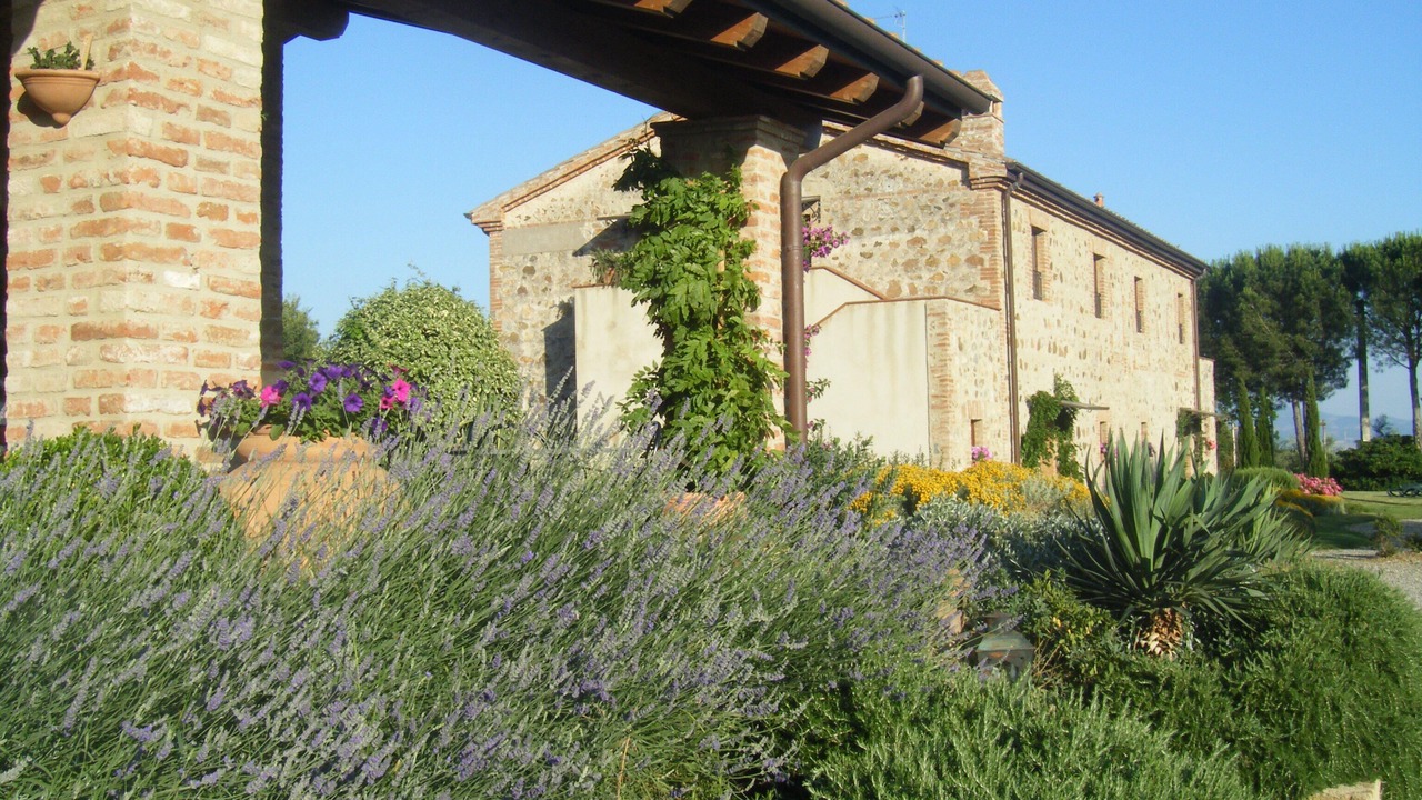 Photo of Outdoor in Civitella Paganico
