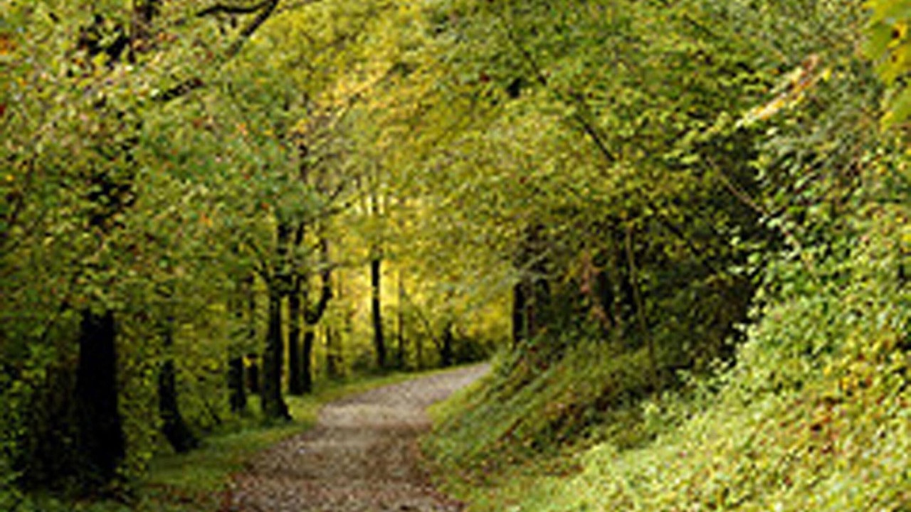Photo of Outdoor in Sant Quirze de Besora