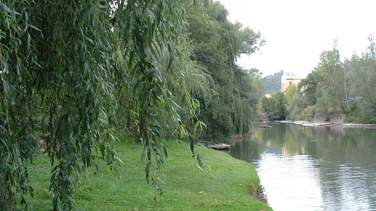 Photo of Outdoor in Sant Quirze de Besora