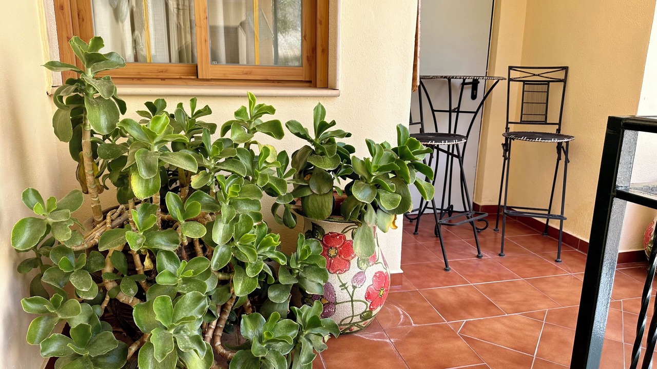 Photo of Patio Balcony in Burunchel