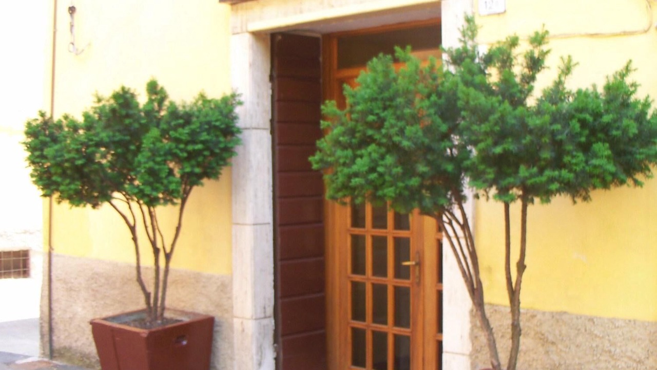 Photo of Outdoor in Reggio nell'Emilia