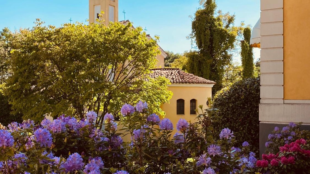 Photo of Outdoor in Vizzola Ticino
