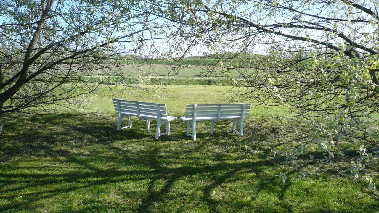 Photo of Outdoor in San Benedetto Po