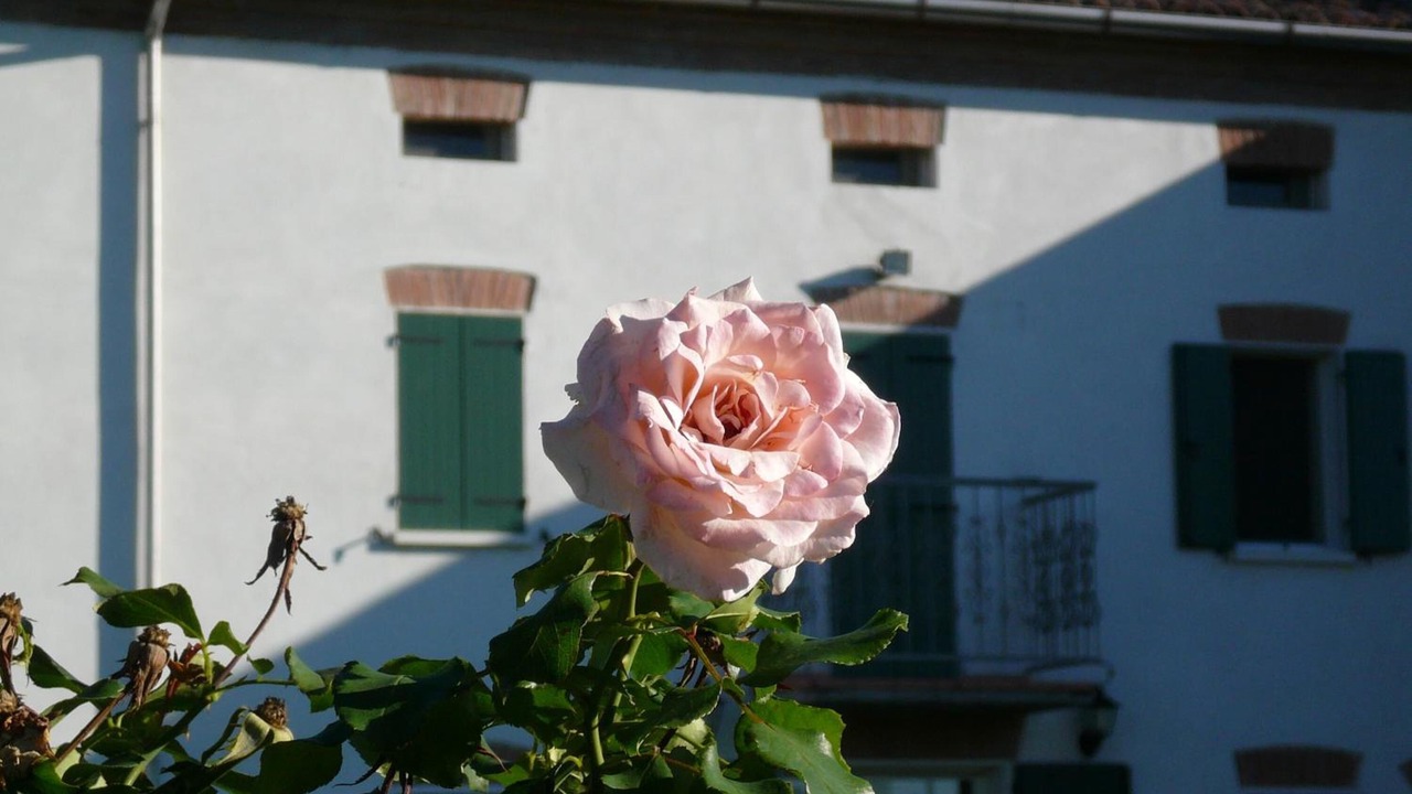 Photo of Outdoor in San Benedetto Po